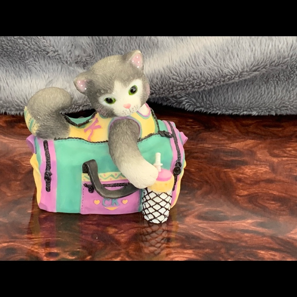 Calico Kittens “I’ve Bagged The Best Buddy In The World”